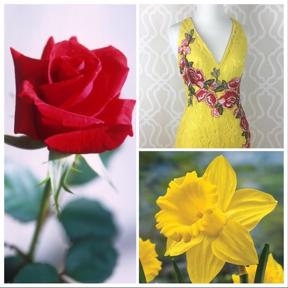 Red Roses on Daffodil Yellow Lace Formal Gown - Picture 8 of 8